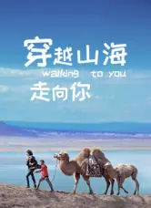 穿越世界走向你海报