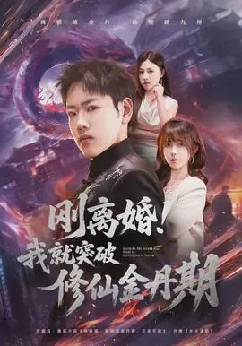 刚离婚!我就突破修仙金丹期海报