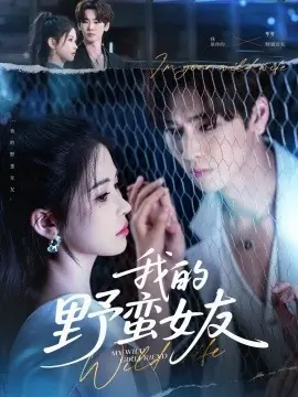 我的野蛮女友海报