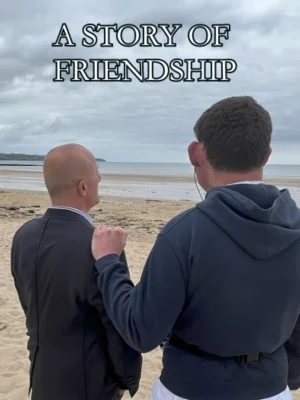 友谊的故事海报