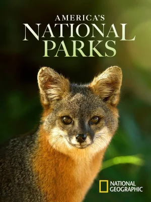 美国国家公园第二季海报