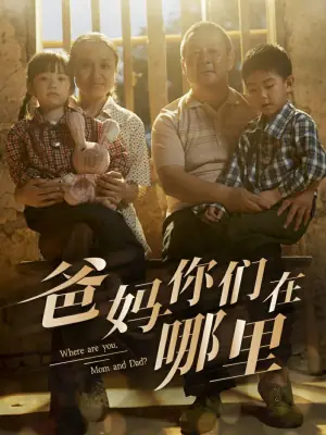 爸妈你们在哪里海报