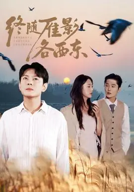 终随雁影各西东海报