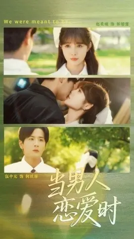 当男人恋爱时海报