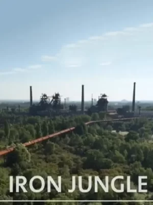 钢铁丛林海报