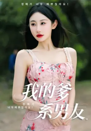 我的爹系男友海报