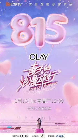 妻子的浪漫旅行海报