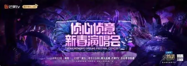 大侦探第八季侦心侦意新春演唱会海报