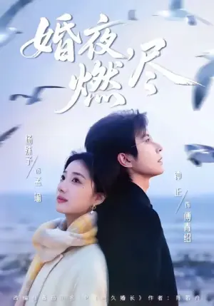 婚夜,燃尽海报
