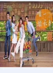 唯一继承者海报