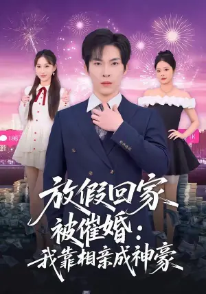 放假回家被催婚:我靠相亲成神豪海报