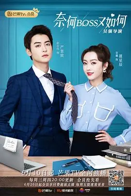 奈何BOSS又如何(越南语版)海报