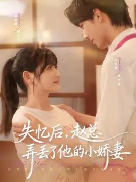 失忆后,赵总弄丢了他的小娇妻海报