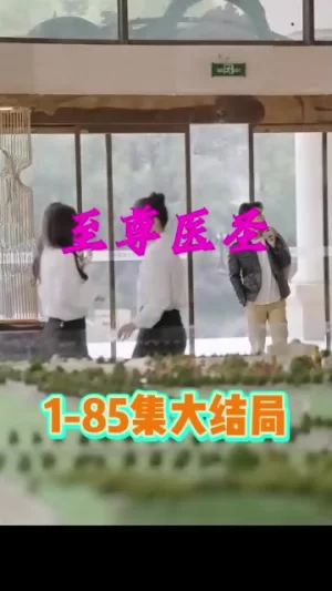 至尊医圣海报