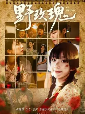 野玫瑰(短剧)海报