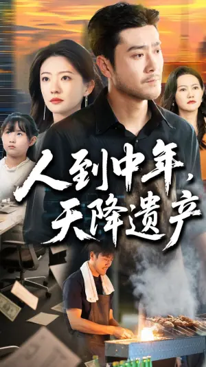 人到中年,天降遗产海报