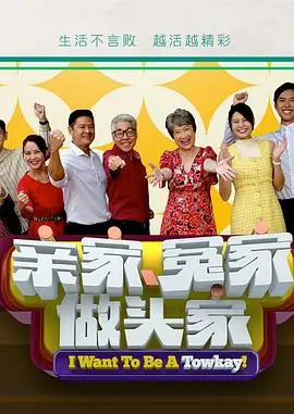 亲家冤家做头家海报