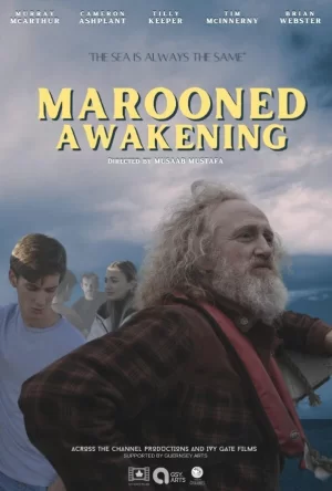 被困的觉醒海报