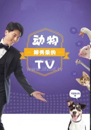 柳秀荣的动物TV海报