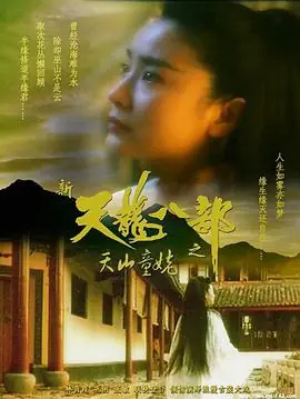 新天龙八部之天山童姥(粤语)海报