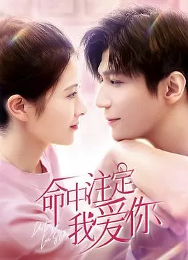 命中注定我爱你海报