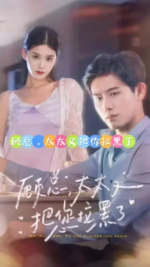 顾总,太太又把你拉黑了海报