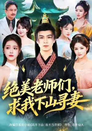 绝美老师们,求我下山寻妻海报