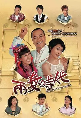 两妻时代(粤语)海报