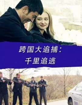 跨国大追捕:千里追逃海报