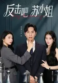 反击吧!苏小姐海报