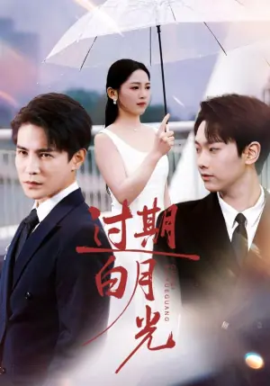 过期白月光海报