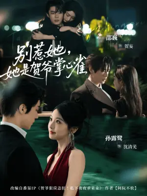 别惹她,她是贺爷掌心雀海报