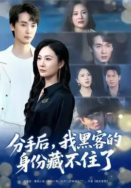 分手后,我黑客的身份藏不住了海报