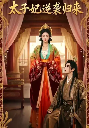 太子妃逆袭归来海报