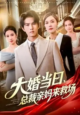 大婚当日,总裁亲妈来救场海报
