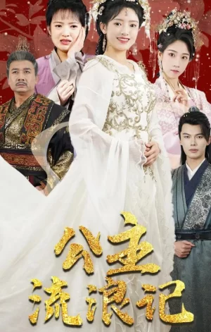 公主流浪记海报