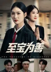 至宝为善海报