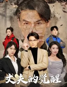 丈夫的觉醒海报