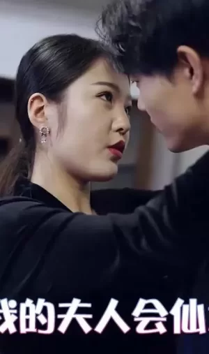 我的夫人会仙术海报