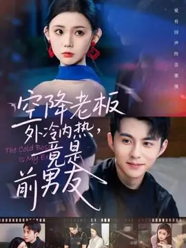 空降老板外冷内热,竟是前男友海报