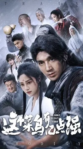 这个菜鸟有亿点强海报