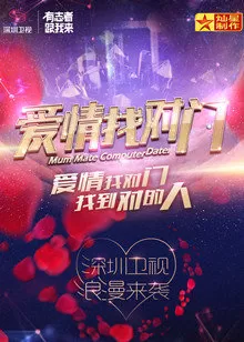 爱情找对门第一季海报