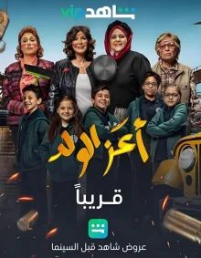 我眼中的宠儿海报