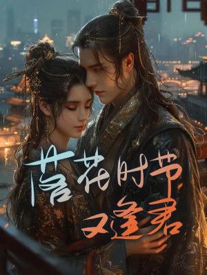 落花时节又逢君海报