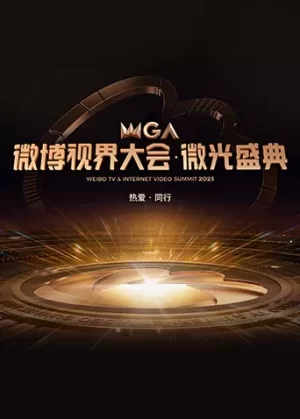 2023微博视界大会·微光盛典海报