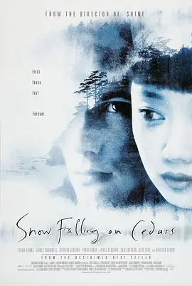 落在香杉树的雪花SnowFallingonCedars海报