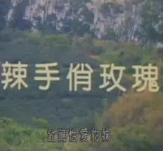 辣手俏玫瑰海报