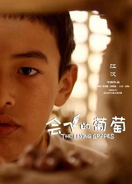 会飞的葡萄海报
