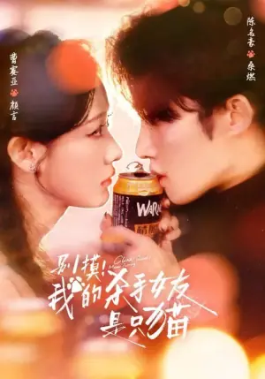 别摸!我的杀手女友是只猫海报