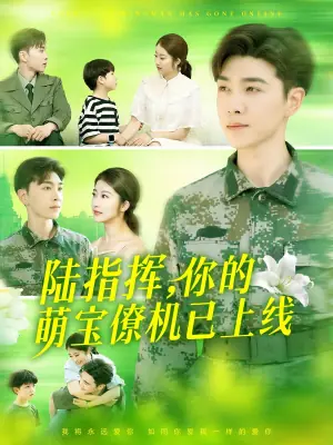陆指挥,你的萌宝僚机已上线海报